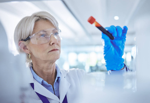 a mature scientist analysing a blood sample in a test tube. - Foto, Bild