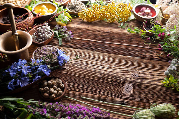 Natuurlijke geneeskunde achtergrond. Diverse droge kruiden in kommen, mortel en planten op rustieke houten tafel. - Foto, afbeelding