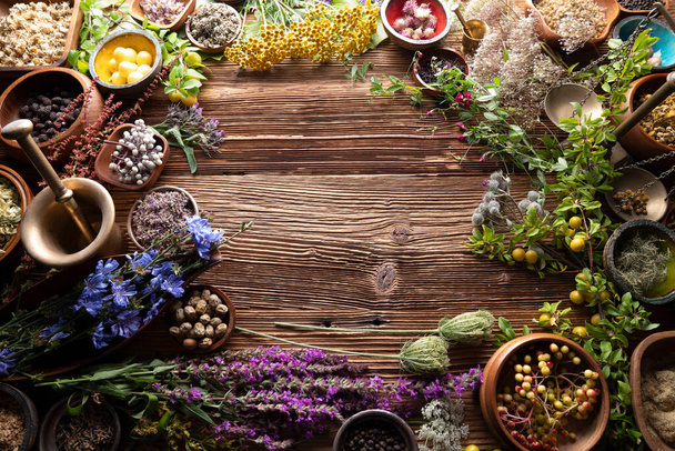 Natural medicine background. Assorted dry herbs in bowls, mortar and plants on rustic wooden table. - 写真・画像