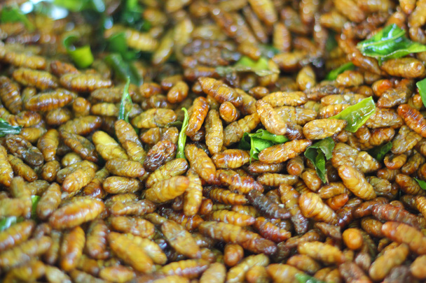 gebakken zijde wormen in de markt - Foto, afbeelding