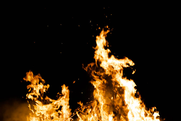 fire flames on black background - Zdjęcie, obraz