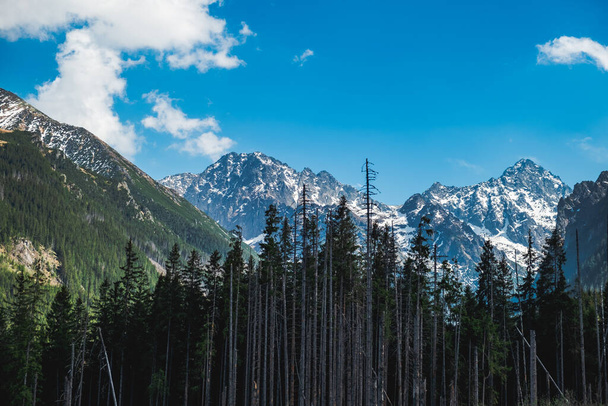 Landscape of the Tatras Mountains - Foto, Bild