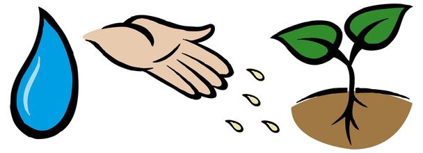 Drop, hand throwing seeds, plant - Vector, Image