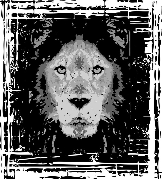 Tiger, black and white - Vector, Image