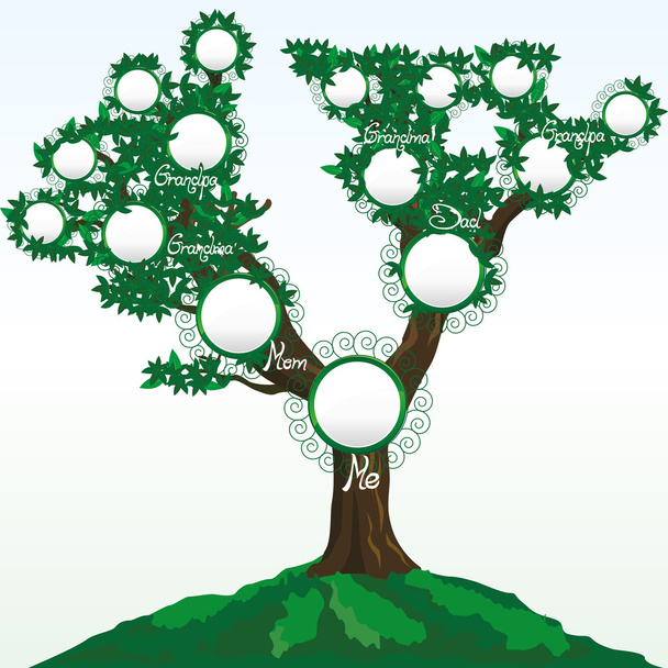 Генеалогічне дерево
 - Вектор, зображення