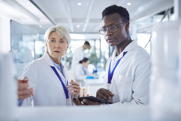 Young african american scientist checking samples with a mature female colleague. Two medical professionals working on experiments in the lab. Focused, diverse coworkers looking at products in lab. - Photo, Image