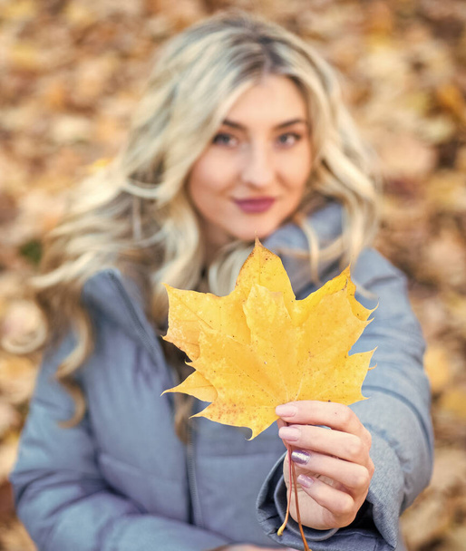 maple leaf in hand of sexy lady in autumn warm clothes in fall forest or park with leaves, autumn nature. - Foto, Imagem