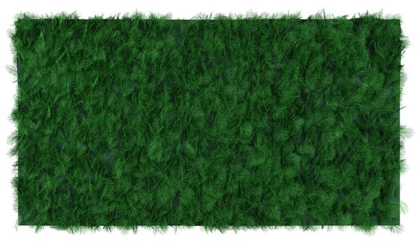 Green tree wall fence background.3D rendering - Φωτογραφία, εικόνα
