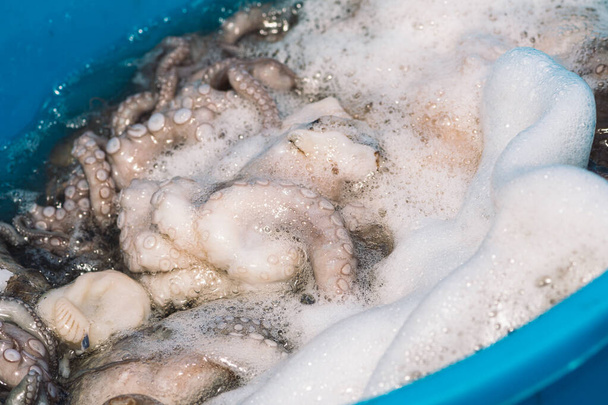 Рыбак хлопнул и размягчил большого сырого осьминога в пластиковом аквариуме на пирсе порта Бари, Апулия, Италия - Фото, изображение