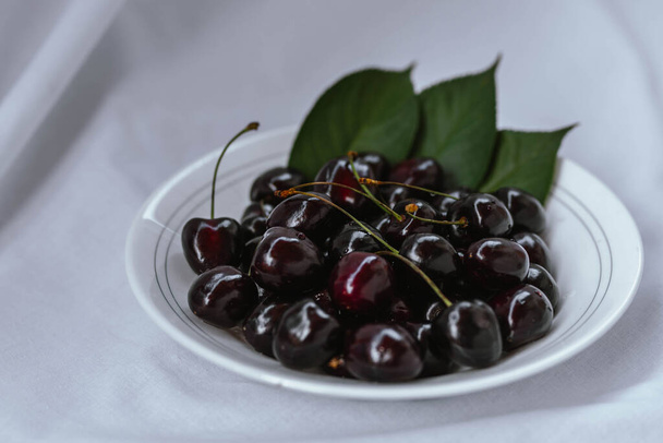 Fresh ripe dark black huge sweet cherries with leaves and water drops on white plate, light cloth background. Rustic organic fruits to eat.  Bio and eco berries for jam, juice, smoothie, desserts - Foto, imagen
