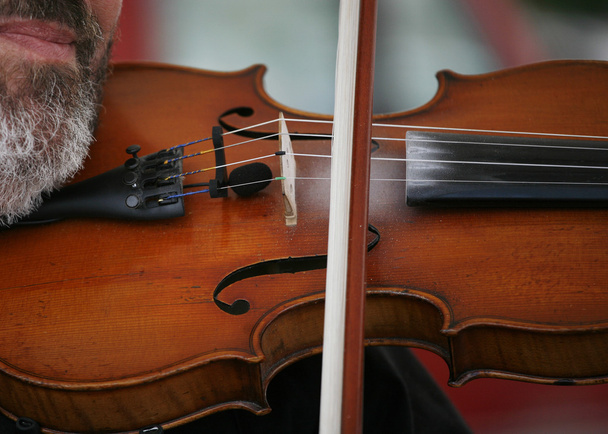 violinista
 - Foto, Imagem