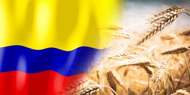 Colômbia - Bandeira e campo de centeio maduro - culturas, cereais, conceito de colheita - Foto, Imagem