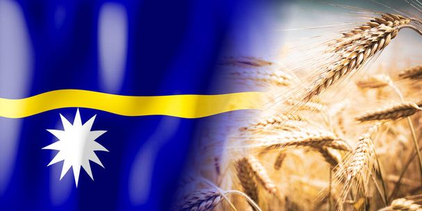 Nauru - flag and ripe rye field - crops, cereal, harvest concept - Foto, Bild
