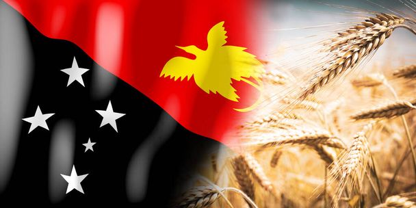 Папуа - Нова Гвінея Прапор і дозріле сільське поле - урожай, зернові культури, поняття жнив - Фото, зображення