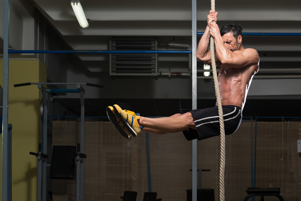 Fitness Athlete Climbing A Rope - Photo, image