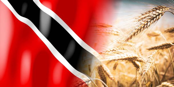Trinidad and Tobago - flag and ripe rye field - crops, cereal, harvest concept - Φωτογραφία, εικόνα