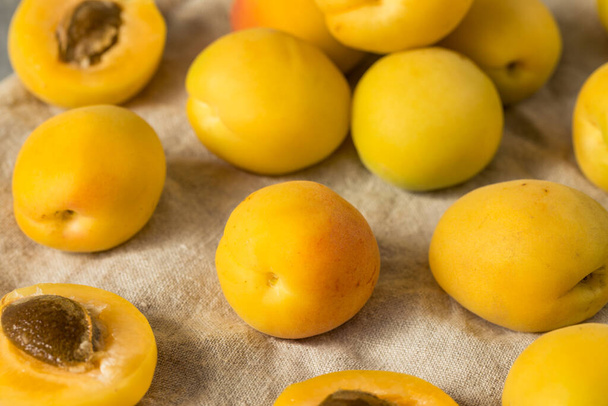 Healthy Organic White Apricot Angelcots Ready to Eat - Zdjęcie, obraz