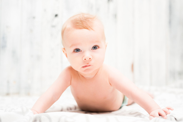 Crawling baby boy - Foto, immagini