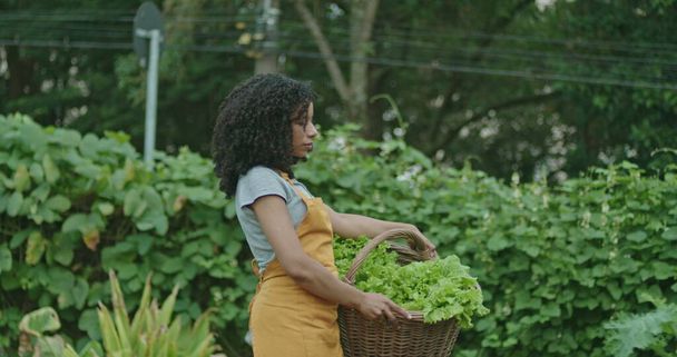 One black woman holding basket carrying vegetables at urban farm wearing apron. Person carries organic food outdoors - Foto, imagen