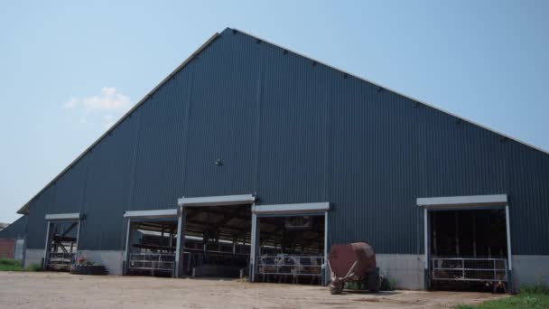 Tarımsal kırsal çiftlikte mavi gökyüzünde büyük, modern bir inek kulübesi. Güneşli bir günde sığır sürüsü olan büyük bir çiftlik hayvanı tesisi. Kırsal kesimde süt ürünleri üretmek için üçgen bina. - Video, Çekim