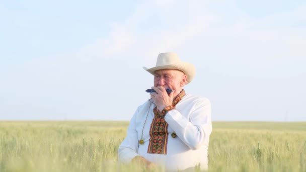Один задумливий старенький чоловік грає на губній гармошці на пшениці. Старий селянин в українському одязі на полі. Любов до поля. - Кадри, відео
