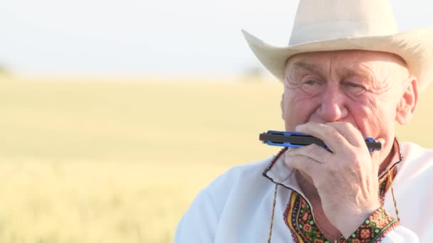 Großaufnahme des Gesichts eines alten Mannes mit Hut, der Mundharmonika spielt. Ein einsamer Großvater auf dem Feld. - Filmmaterial, Video