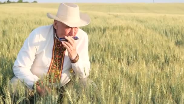 Самотній дід сидить на пшеничному полі і грає на французькій арфі. Поле жита. Старий вік - Кадри, відео