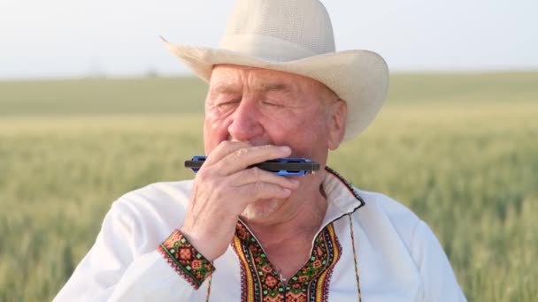 Один задумливий старенький чоловік грає на губній гармошці на пшениці. Старий селянин в українському одязі на полі. Любов до поля. - Кадри, відео