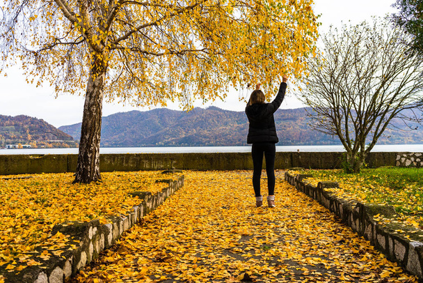 Las hojas de otoño cayeron sobre una sola mujer caminando por el callejón de otoño. Paisaje otoñal, follaje naranja en un parque en Orsova, Rumania, 2020 - Foto, imagen