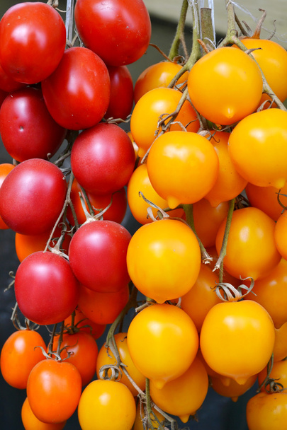 Big red tomatoes of different kinds on grocery market - Photo, Image