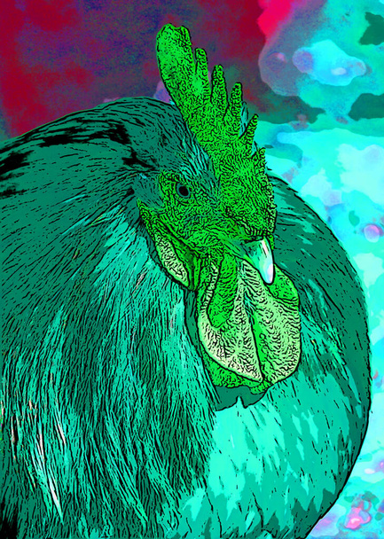 rooster illustration pop-art background - Photo, image