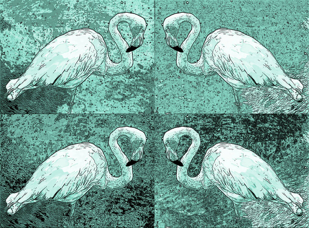 flamingo  bird illustration pop-art background - Photo, image