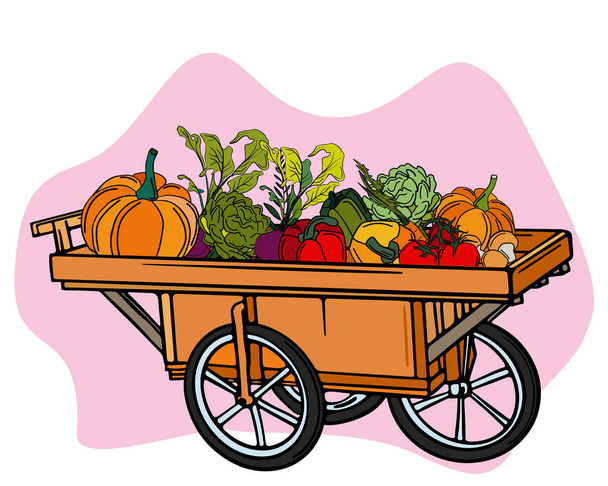 čerstvá zelenina, farma, zelenina a zahradní design. vektorová ilustrace - Vektor, obrázek