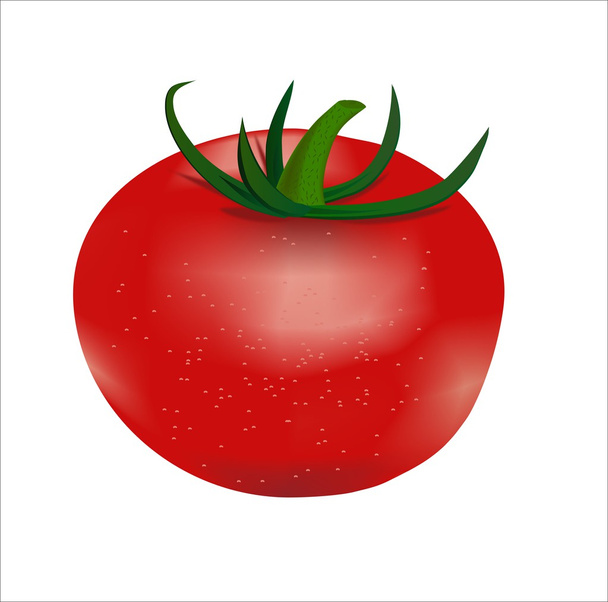 Tomaten-Vektorgrafik - Vektor, Bild