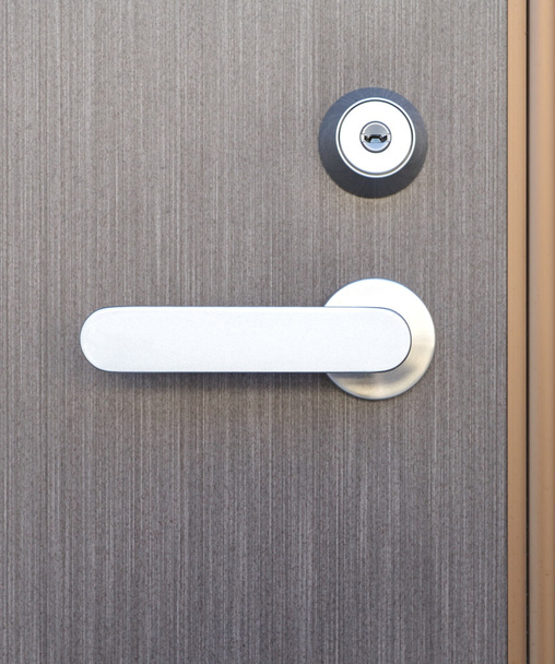 Gray wood door - Photo, Image