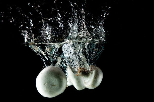 splash water μανιτάρι - Φωτογραφία, εικόνα