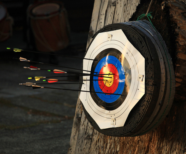 Bullseye with many arrows outdoor - Foto, Imagem
