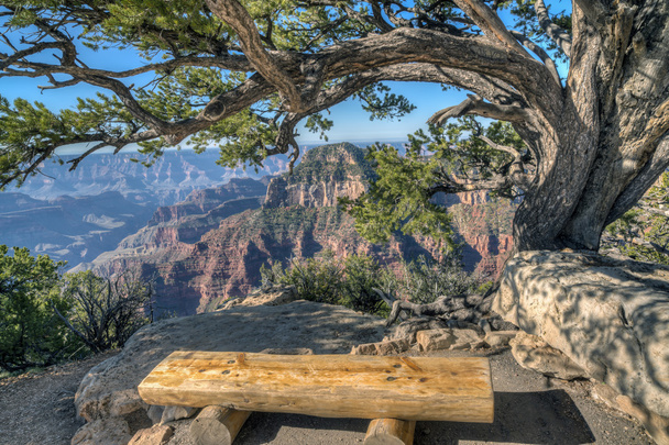 Grand Canyon, north rim - Foto, afbeelding