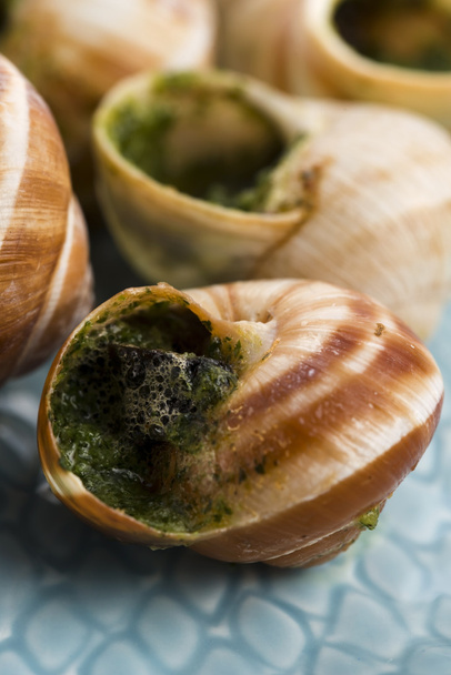 Close up of Escargots with garlic butter  - Foto, afbeelding