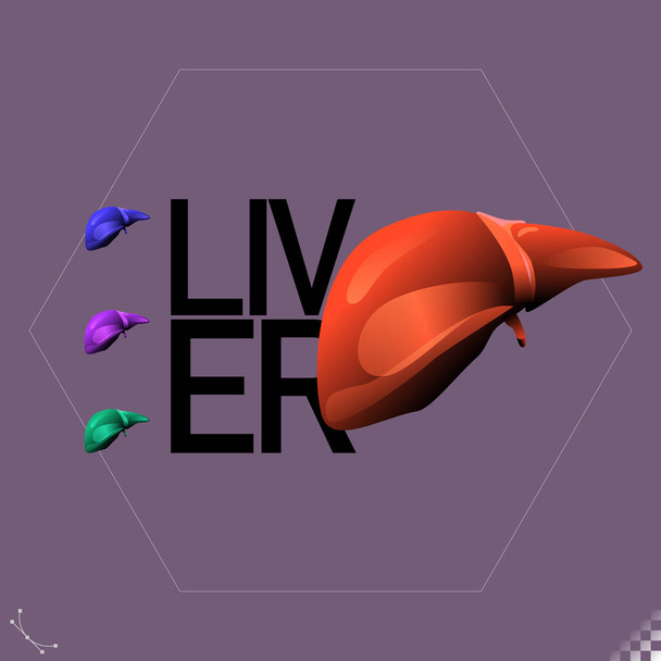 graphic Stylized illustration, icons, symbols andante of internal man human organ liver - part of a set - ベクター画像