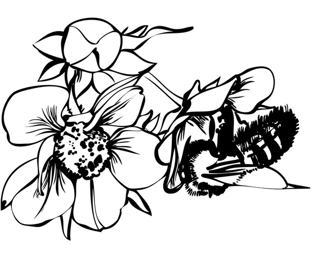 Bee on flowers - Vektor, obrázek