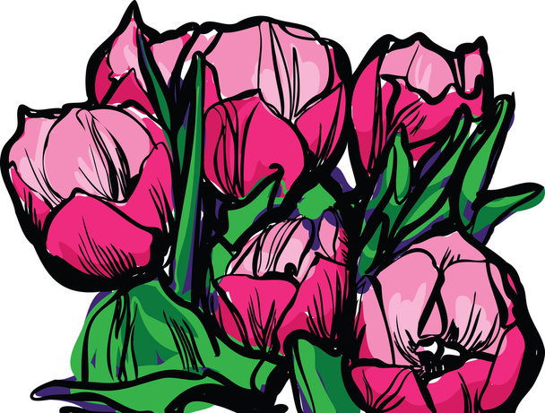 Sketch a bouquet of tulips on a white background - Vektor, Bild
