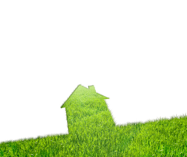 konceptuella grönt gräs hus - Φωτογραφία, εικόνα