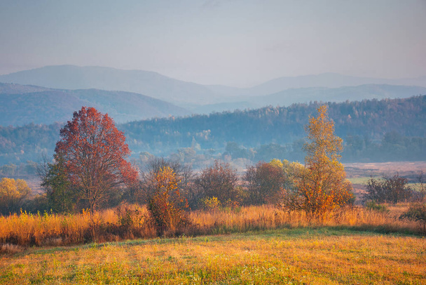 autumnal rural landscape at sunrise. beautiful mountainous countryside in late autumn season. empty fields. trees in red and orange foliage. hazy atmosphere - Foto, imagen