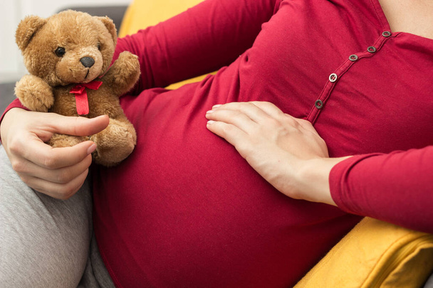 Woman enjoying pregnancy at home. Pregnant woman holding Teddy Bear. Resting at the home - Foto, Imagen