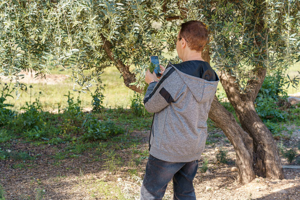 Back view of senior woman in garden taking picture of olive tree. - Φωτογραφία, εικόνα