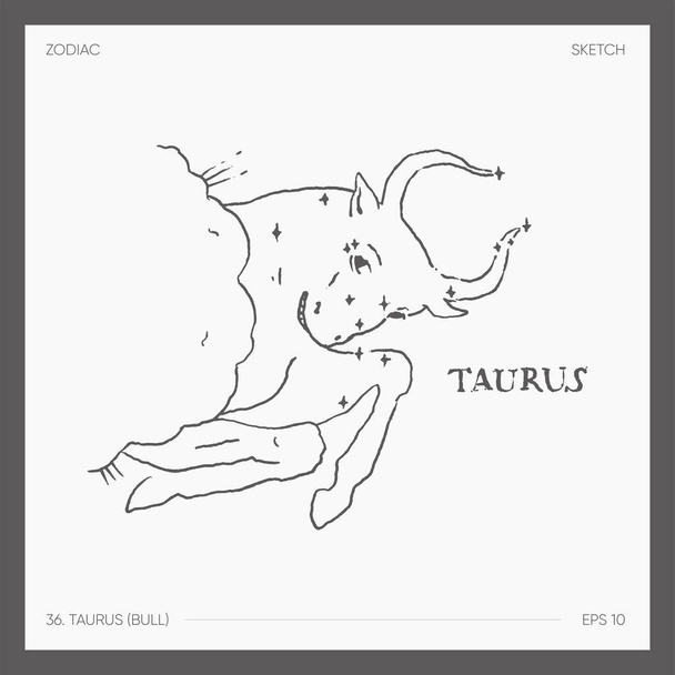 Illustration of astrological zodiac Taurus Bull. Vector illustration - Вектор,изображение