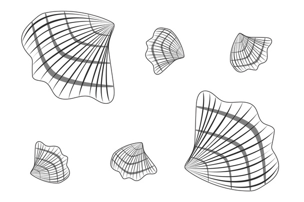 Kagyló különböző méretű fehér alapon. Varrat nélküli mintát - Vektor, kép