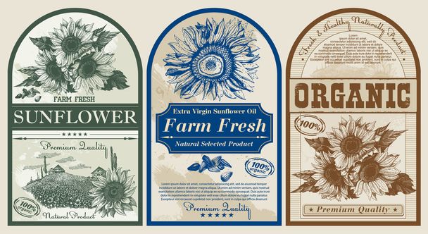 Vektor-Design von Vintage-Etiketten für Sonnenblumenöl - Vektor, Bild