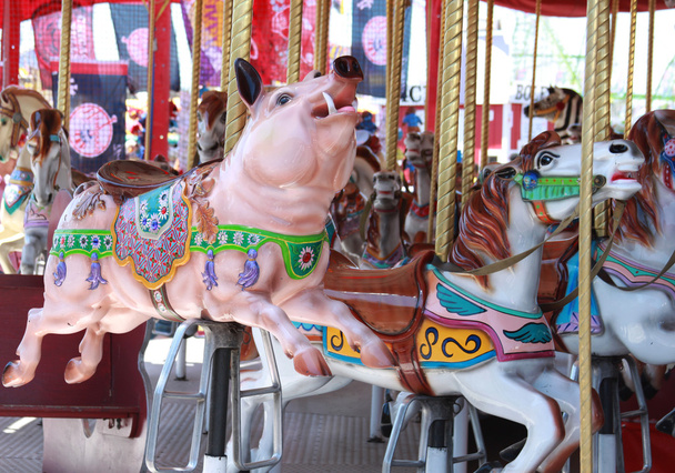 豚とカルーセル馬 - 写真・画像